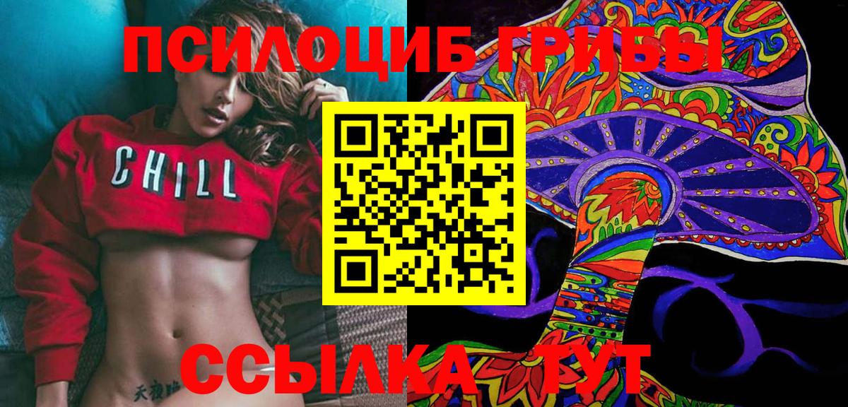 Советск  Галлюциногенные грибы Psilocybine cubensis  Вход с VPN 